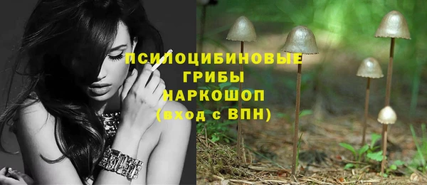 мет Алексин