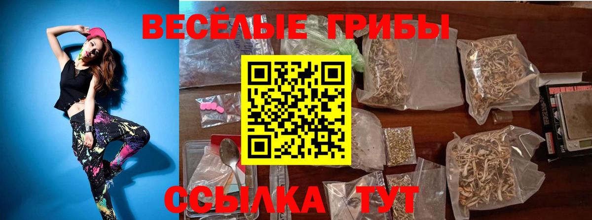 Галлюциногенные грибы Magic Shrooms Тихорецк